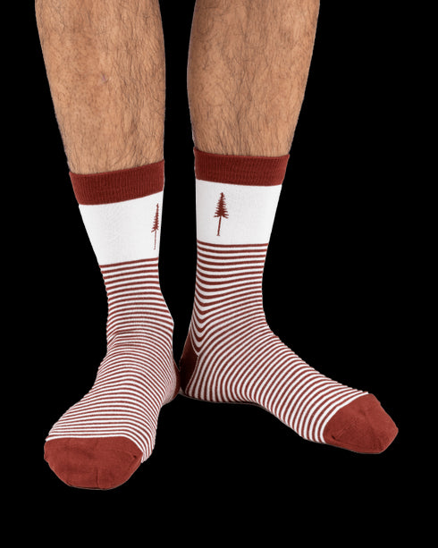 TreeSocks Standard Stripes Bordeaux