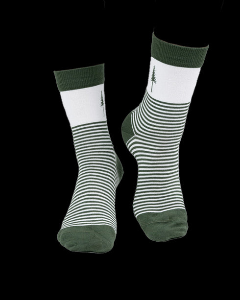 TreeSocks Standard Stripes Green