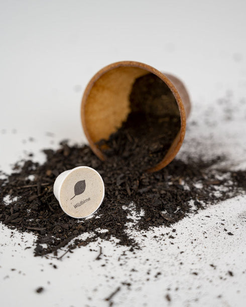 TreePlanting Kit Wild Pear Tree