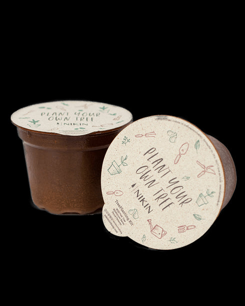 TreePlanting Kit Wild Pear Tree