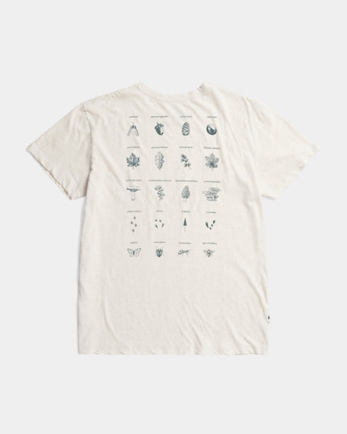 TreeShirt Forest Ecosystem Pumice