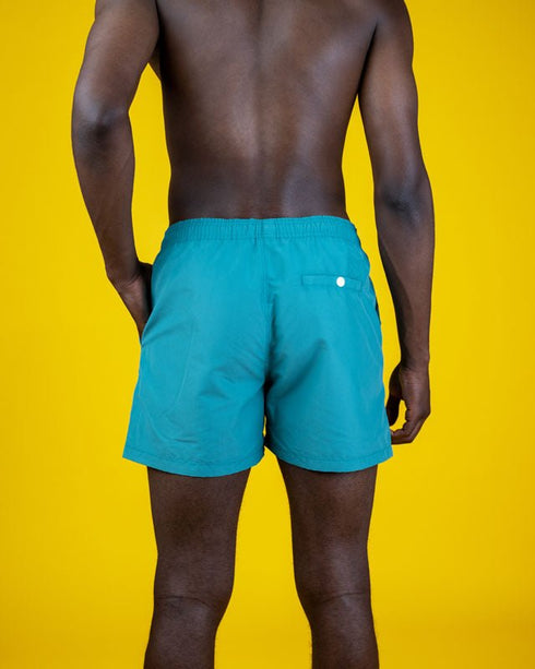 TreeShorts Swim Retro Volley