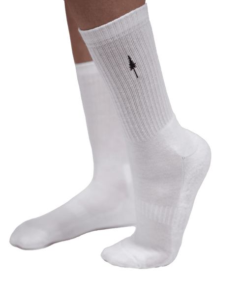 TreeSocks Ribbed White