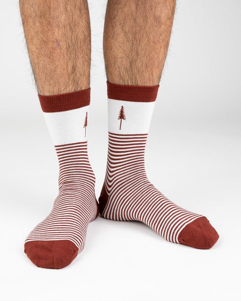 TreeSocks Standard Stripes Bordeaux